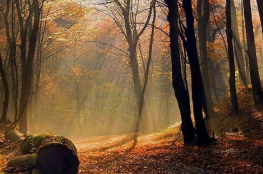Gdańsk Atrakcja Warto zobaczyć Trójmiejski Park Krajobrazowy 